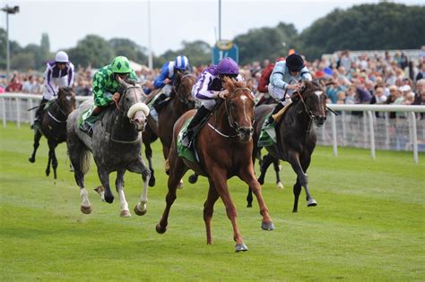 where is horse racing today|today's race meetings.